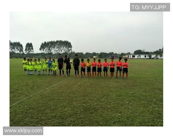 广州足球队在精英赛中的比赛经验与表现分析