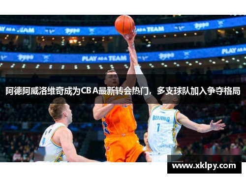 阿德阿威洛维奇成为CBA最新转会热门，多支球队加入争夺格局