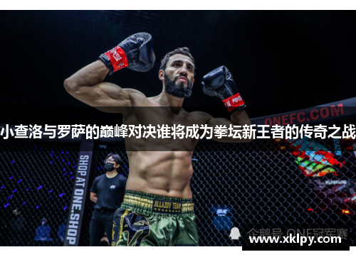 小查洛与罗萨的巅峰对决谁将成为拳坛新王者的传奇之战