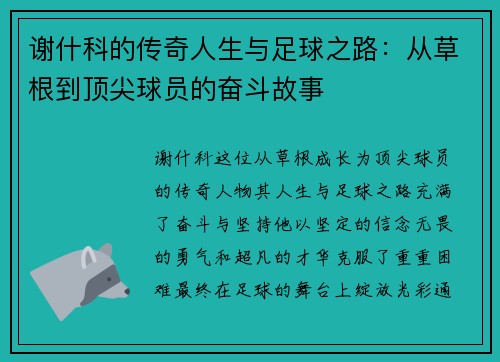 谢什科的传奇人生与足球之路：从草根到顶尖球员的奋斗故事